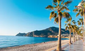 Piękna pogoda w Alicante: palmy, plaża i błękitne morze. Idealne miejsce na relaks.