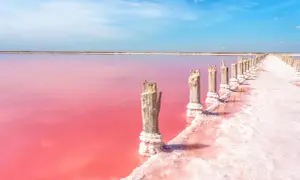Różowe jeziora w **las salinas de Torrevieja** z drewnianymi słupkami pokrytymi solą.