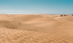Pofaśne wydmy Maspalomas w słońcu, z oceanem w tle. Piasek tworzy faliste wzory.