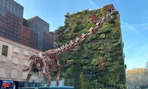 Szkielet dinozaura przed zieloną ścianą budynku w madryt centrum.