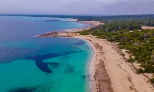 Malownicze Es Trenc z turkusową wodą i piaszczystą plażą, otoczoną zielonymi sosnami.