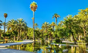 Elche atrakcje: malowniczy park z licznymi palmami, stawem i bujną zielenią, idealne miejsce na spacer.