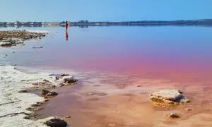 Osoba w czerwonym stroju stoi w różowym jeziorze w Hiszpanii. W tle widoczne są hałdy soli i zabudowania.