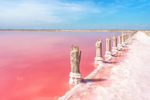 Różowe jeziora w **las salinas de Torrevieja** z drewnianymi słupkami pokrytymi solą.