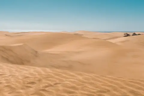 Pofaśne wydmy Maspalomas w słońcu, z oceanem w tle. Piasek tworzy faliste wzory.