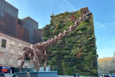 Szkielet dinozaura przed zieloną ścianą budynku w madryt centrum.