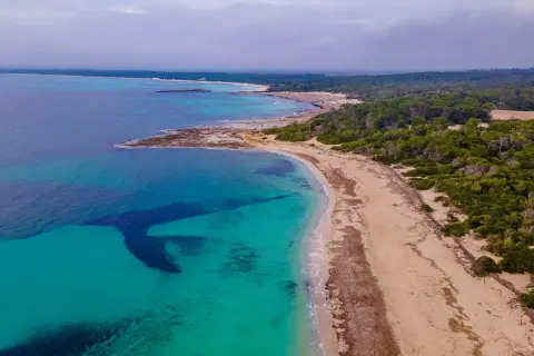 Malownicze Es Trenc z turkusową wodą i piaszczystą plażą, otoczoną zielonymi sosnami.