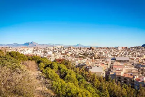 Widok na miasto Alicante z zielonymi wzgórzami. Idealne miejsce na wakacyjne alicante noclegi.