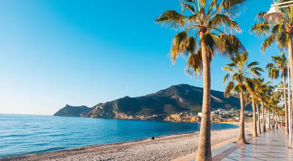 Piękna pogoda w Alicante: palmy, plaża i błękitne morze. Idealne miejsce na relaks.