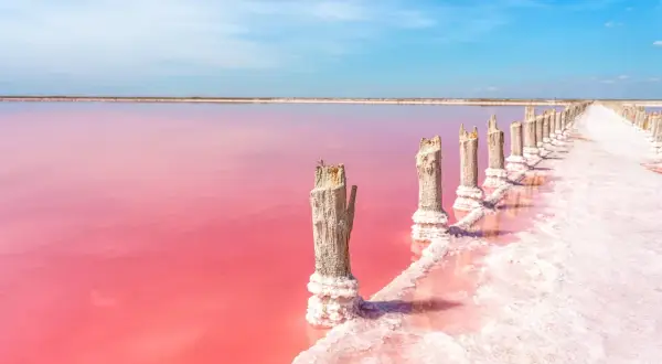 Różowe jeziora w **las salinas de Torrevieja** z drewnianymi słupkami pokrytymi solą.