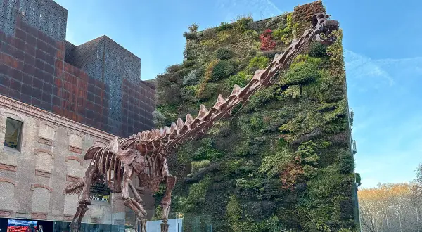 Szkielet dinozaura przed zieloną ścianą budynku w madryt centrum.