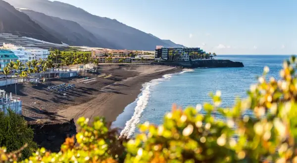 Słoneczne la palma plaże z czarnym piaskiem, palmami i hotelami w tle. Błękitne morze łagodnie faluje.