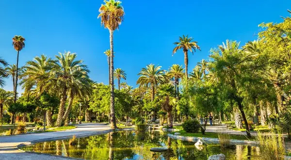 Elche atrakcje: malowniczy park z licznymi palmami, stawem i bujną zielenią, idealne miejsce na spacer.