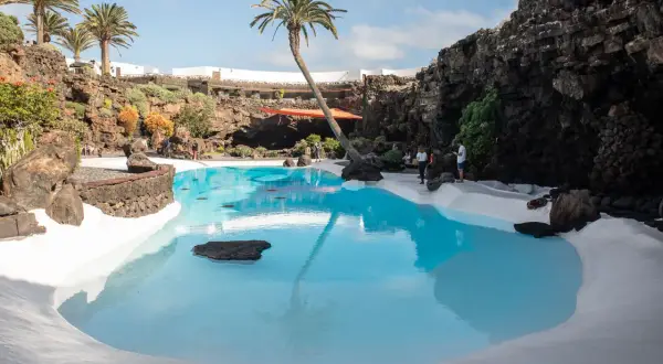 Basen w otoczeniu wulkanicznych skał na Lanzarote, z palmą pochyloną nad turkusową wodą.
