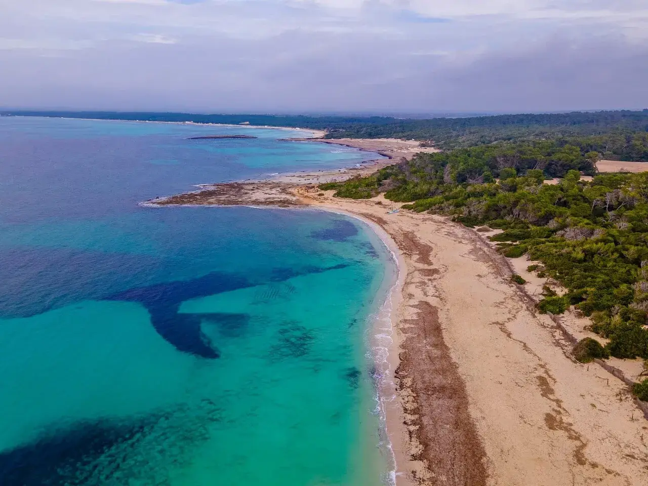 Malownicze Es Trenc z turkusową wodą i piaszczystą plażą, otoczoną zielonymi sosnami.