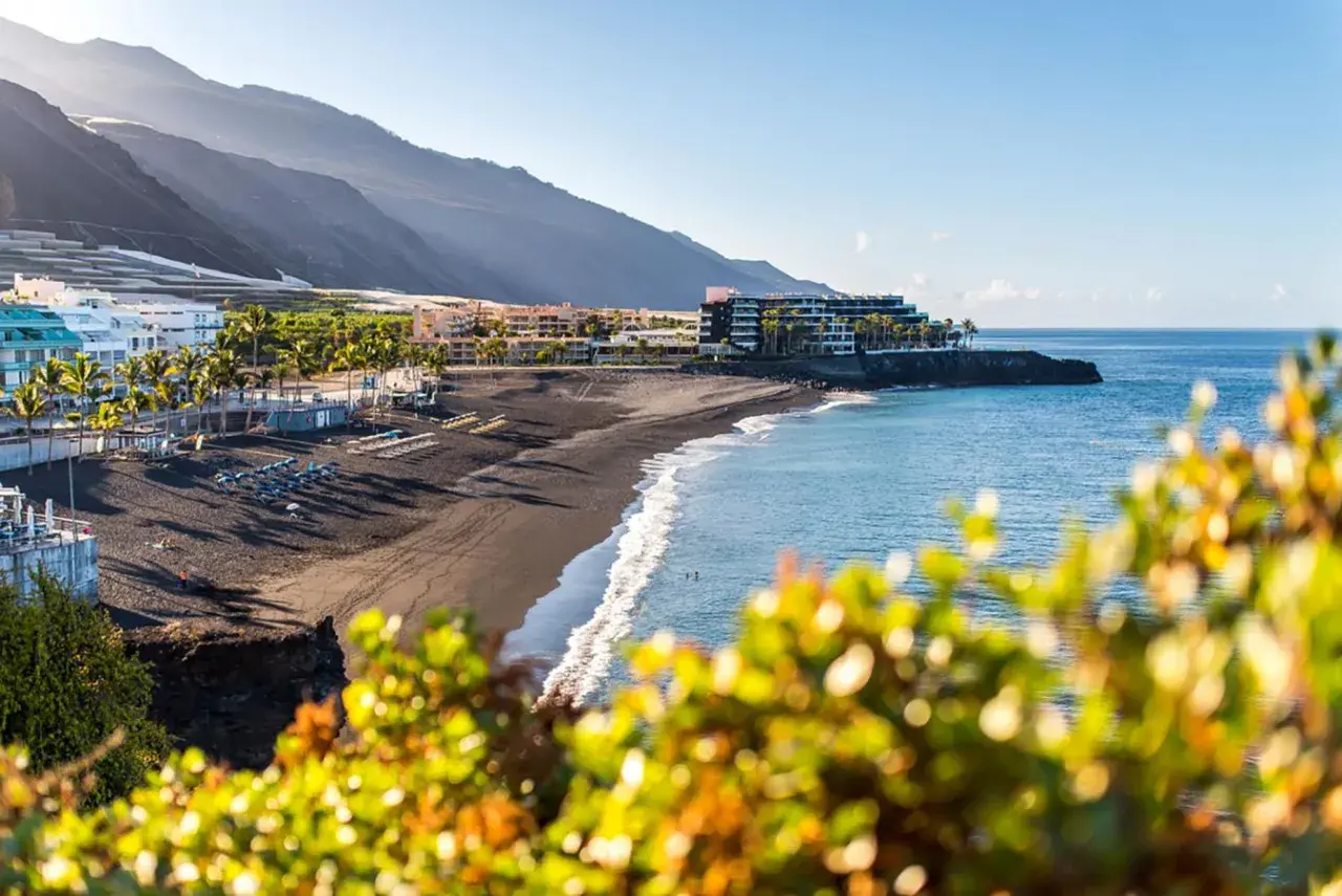 Słoneczne la palma plaże z czarnym piaskiem, palmami i hotelami w tle. Błękitne morze łagodnie faluje.