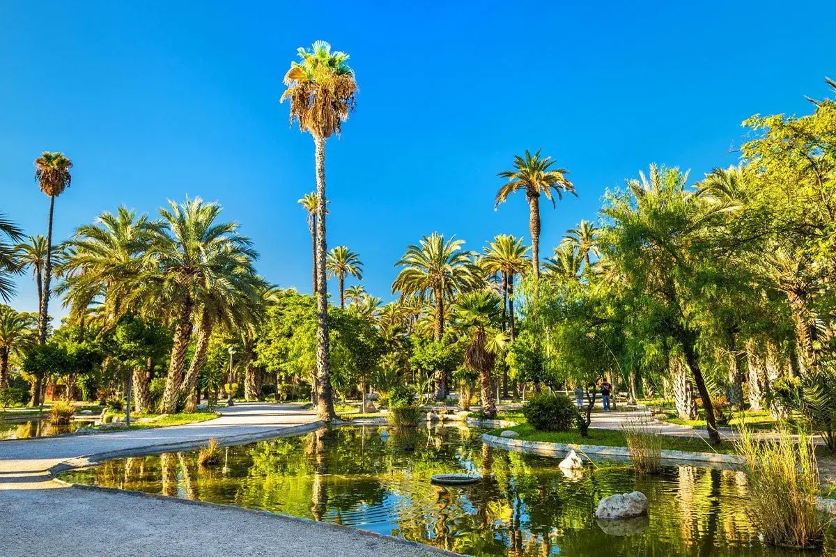 Elche atrakcje: malowniczy park z licznymi palmami, stawem i bujną zielenią, idealne miejsce na spacer.