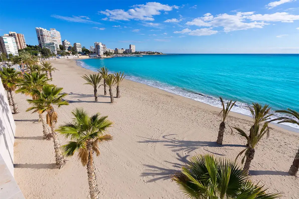 Piękna plaża w Alicante, idealna na spacer nawet gdy alicante pogoda w styczniu jest słoneczna. Palmy i turkusowe morze.