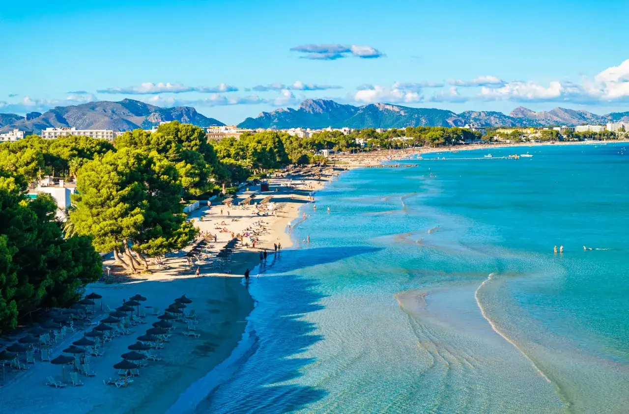 Słoneczna Alcudia plaża z turkusową wodą, piaszczystym brzegiem, zielonymi drzewami i górami w tle. Ludzie odpoczywają i kąpią się.