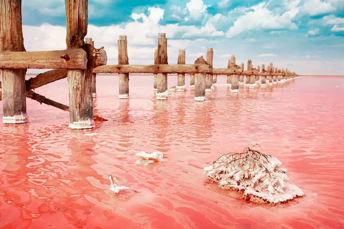 Różowe wody las salinas de Torrevieja, z drewnianymi słupami pokrytymi solą i błękitnym niebem.