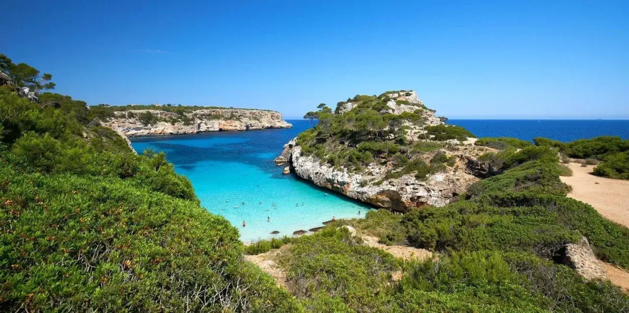 Malownicza alcudia plaża z turkusową wodą, skalistymi klifami i bujną zielenią. Kilka osób pływa w krystalicznie czystym morzu.