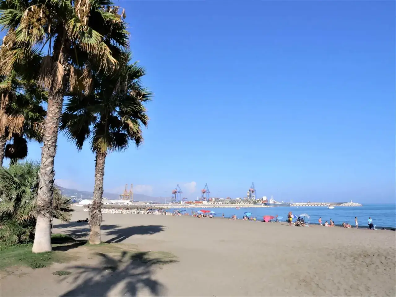 Malaga plaża z palmami w tle, portem i ludźmi odpoczywającymi na piasku.