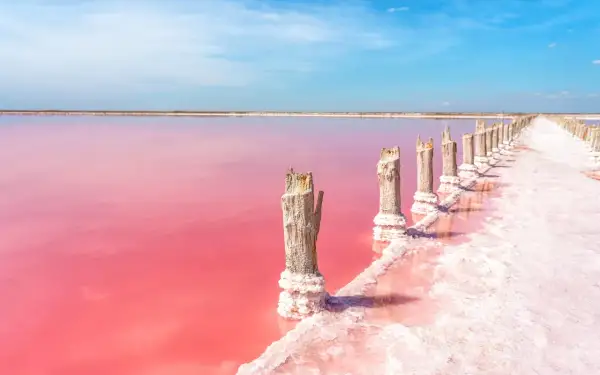 Różowe jeziora w **las salinas de Torrevieja** z drewnianymi słupkami pokrytymi solą.