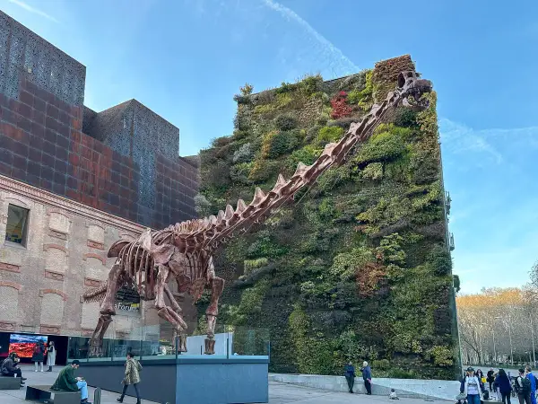 Szkielet dinozaura przed zieloną ścianą budynku w madryt centrum.